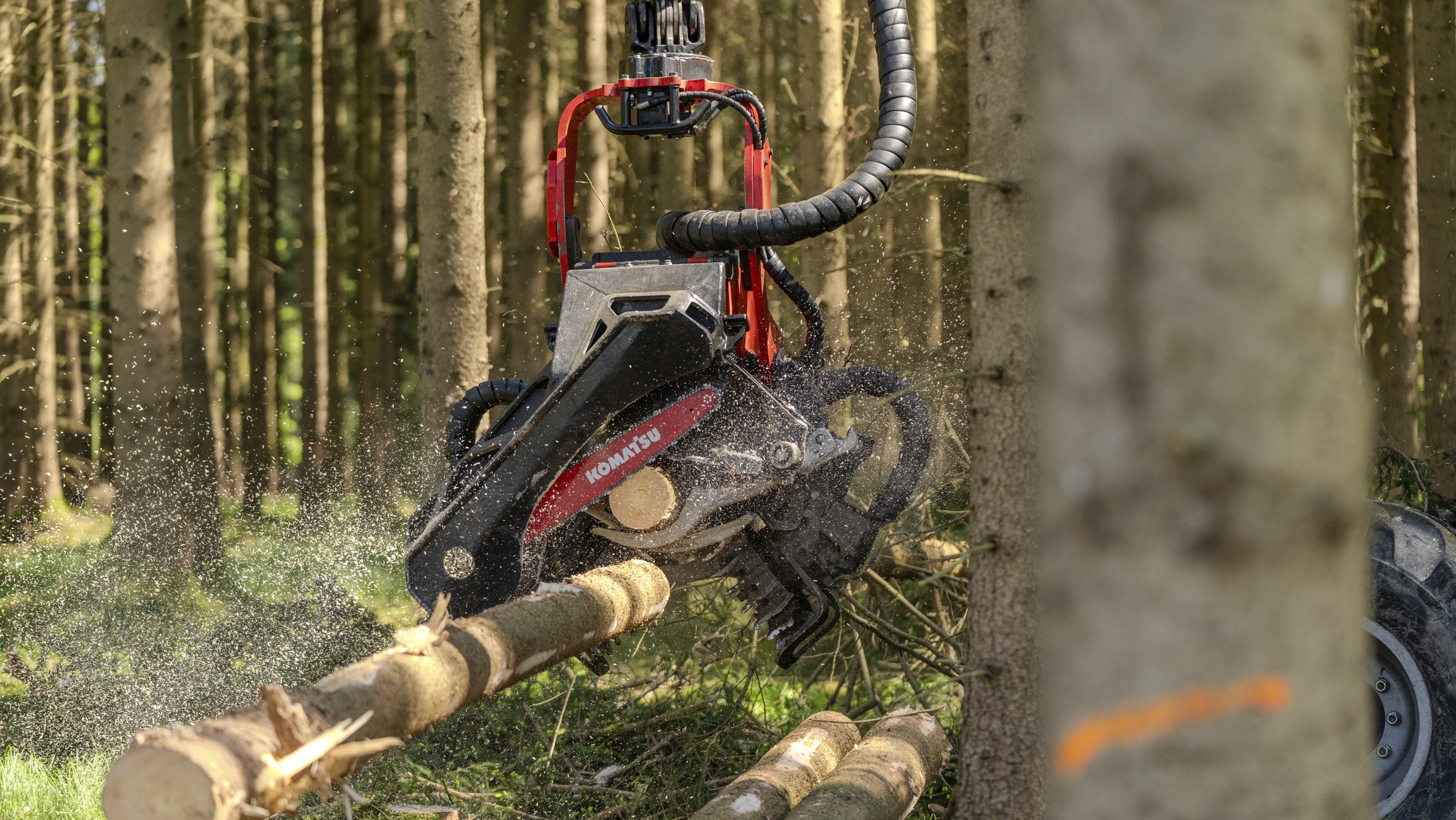 Komatsu C124 beim Ablängen eines Stamms